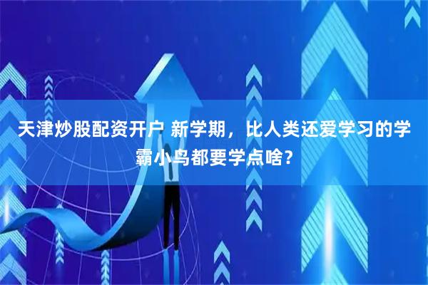 天津炒股配资开户 新学期，比人类还爱学习的学霸小鸟都要学点啥？